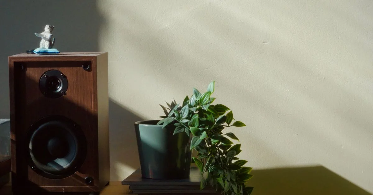 A wooden bookshelf speaker on a shelf in a sunlit room, the sort of setup an affordable Sonos smart speaker is bought to modernize